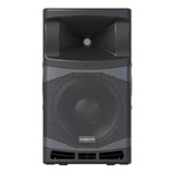 Bafle Activo Audiocenter Ma12 12 Pulgadas Envio Gratis