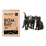 Piedritas Para Gatos Catus Bombay 4 Kg Aglomerante Premium