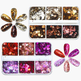 Nail Art Glitter Sequins Powder Kits 2 Boxes 12 Colors Holog