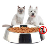 Pet King - Comedero Elevado Para Perro Plato Acero Anti Hormigas 8oz (236ml) Color Plateado