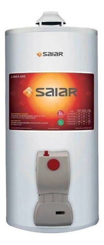 Termotanque Multigas Gas 50 Litros Saiar Rheem Tcg050