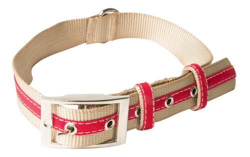 Collar Perro  Pequeño  Combinado Rascals