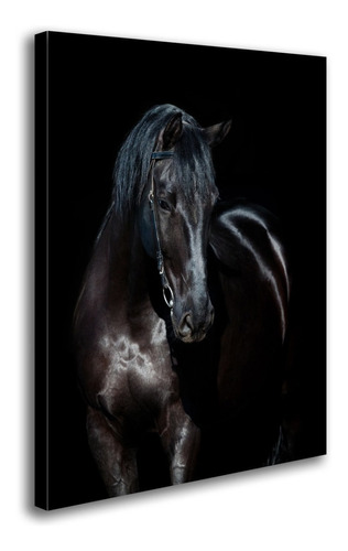 Quadro Decorativo Para Tela Grande 1,20x0,70 Cavalo Preto Cor Da Armação Borda Infinita