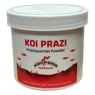 Polvo De Praziquantel Para Koi Y Peces Ornamentales | Meses sin interés