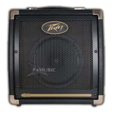 Amplificador Peavey Ecoustic E20 Para Guitarra De 20w