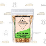 Larvas De Tenébrio Comum Desidratado - 100g