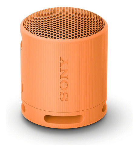 Altavoz Bluetooth Sony Srs Xb100 Sonido Portátil Resistente