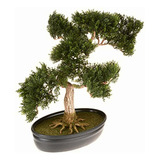 Nearly Natural 4106 Cedar Bonsai Decorative Silk Plant,
