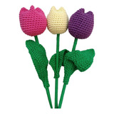 Ramo De 3 Tulipanes Globo En Crochet