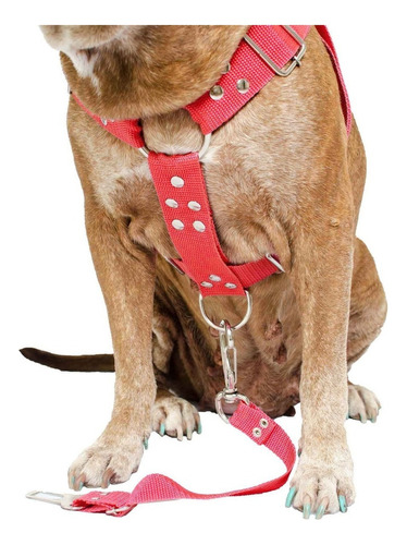Peitoral Coleira Com Regulagem Guia Para Cães Reforçada Cor Vermelho Tamanho Da Coleira Médio