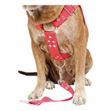 Peitoral Coleira Com Regulagem Guia Para Cães Reforçada Cor Vermelho Tamanho Da Coleira Médio