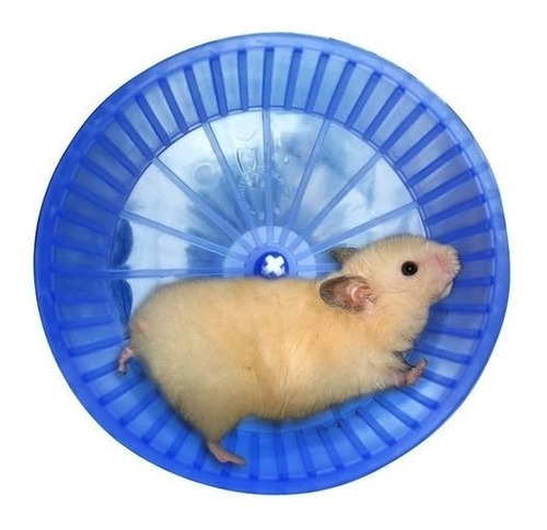 Rodinha De Exercícios Plastico Para Hamster Roedores