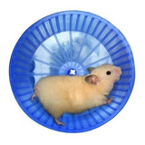 Rodinha De Exercícios Plastico Para Hamster Roedores