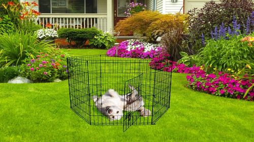 Corral Perro Plegable Metal 6 Panel Dog Play Pen 60cm Alto 