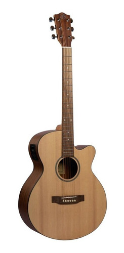Guitarra Electroacústica Bamboo Ga-40-spruce-q Con Funda