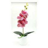 Orquídea Phalaenopsis Mariposa Con Motivos Rosas Artificial 