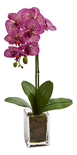 24 Orquídea Phalaenopsis Florero Artificial Arreglos D...