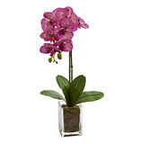 24 Orquídea Phalaenopsis Florero Artificial Arreglos D...