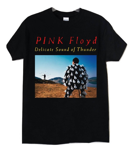 Pink Floyd Delicate Sound Of Thunder Rock Clásico Progresivo