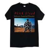 Pink Floyd Delicate Sound Of Thunder Rock Clásico Progresivo