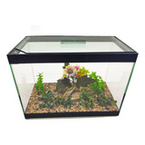 Aquário Vidro Decorado N2 25x12x18 4,5lt Peixes Planta Preto