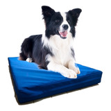 Cama Perro Mediana Colchoneta Antidesgarro Impermeable