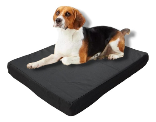 Cama Colchón Placa Matty Para Mascotas Medianas