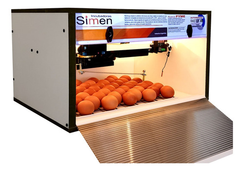 Incubadora Simen Rast X6 Automatica Digital Huevos Aves Full