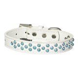 Mirage Pet Products Sprinkles Dog Collar Southwest With Turq