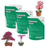 Plantafol 5-15-45 3 Kg Adubo P/ Rosa Do Deserto- Floração