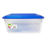 Caja Plástica Organizadora Con Tapa Turin Kendy10litros70430 Color Transparente/tapa De Colores