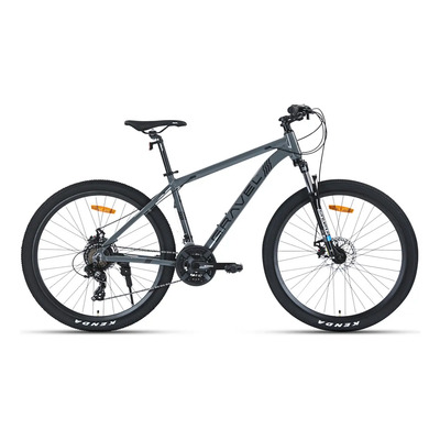 Mountain Bike Gravel Everest R29 21v Disco Shimano Color Gris Tamaño del cuadro S | Meses sin interés
