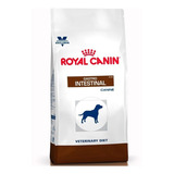 Royal Canin Gastrointestinal Canine 2 Kg / Catdogshop