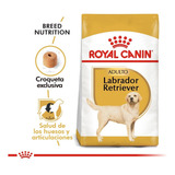 Royal Canin Labrador Adulto X 12 Kg - Drovenort -