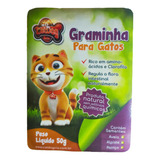 Graminha Gatos Grama Digestão Eliminação Bola De Pelos