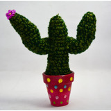 Cactus Tejidos Al Crochet En Macetas Decoradas! (rosa)