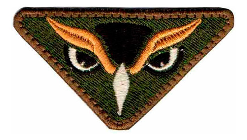 Patch Bordado - Airsoft - Visão Coruja Noturna Dv80591-31