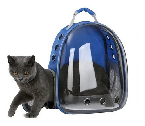 Mochila Bolso Transportes Transparente Mascotas Perros Gatos