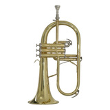 Flugelhorn Hs Musical Bb Profissional - Hh1