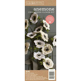 Lia Griffith Kit De Flores De Papel Crepé, Anemone Flowers,