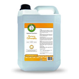 Shampoo Smell Fresh Citronela 5l