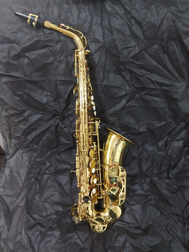 Sax Alto Shelter Sft6430l Laqueado Dourado Com Case*