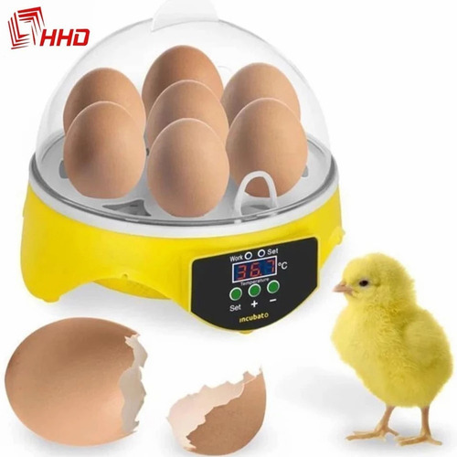 Incubadora De Huevos 7 Huevos Control De Temperatura