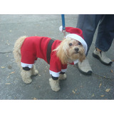 Disfraz Santa Claus Gorro Talla 6 Perro Navidad