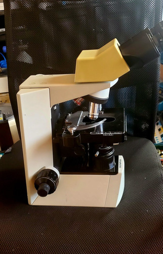 Microscopio Olimpus Cx 31