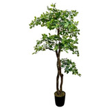 Árbol Artificial De Olivo Negro Hecho Mano De 5 Pies T...