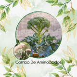 Abono De Aminoácidos Concentrado Para Brócoli