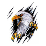 Calcomanías Con Forma De Águila Para Coche, Dibujos Animados