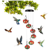 Z Bebedero Para Colibri Comedero Alimentador Pajaros Aves