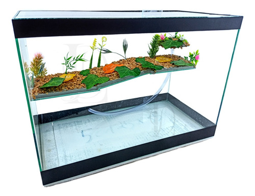 Terrario N7 Grande 50x25x35cm Tartaruga Aquario Plataforma